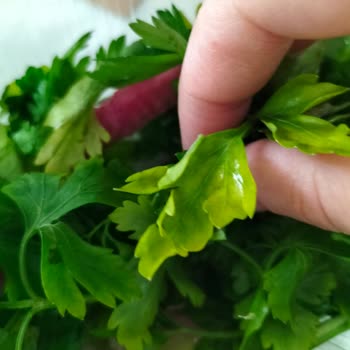 Satırdan Lahmacun Siparişi İle İlgili Sıkıntı