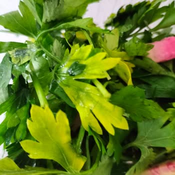 Satırdan Lahmacun Siparişi İle İlgili Sıkıntı