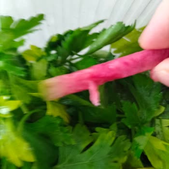 Satırdan Lahmacun Siparişi İle İlgili Sıkıntı