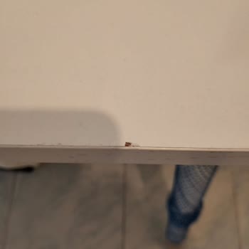 Erze Mobilya (Kocaeli) Mağdur Olmam