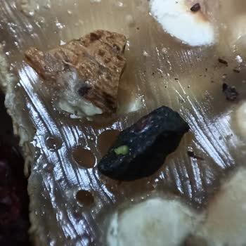 Ganik İçinden Taş Çıktı.