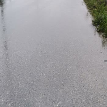 Lescon Airfoam Sapphire Gri Erkek Spor Ayakkabı