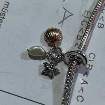 Pandora Mücevher Pandora Charm Kırılması
