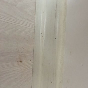 Tekbir Parke Parke Süpürgelikleri İle İlgili Problem Var. Firma İlgilenmiyor.