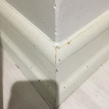 Tekbir Parke Parke Süpürgelikleri İle İlgili Problem Var. Firma İlgilenmiyor.