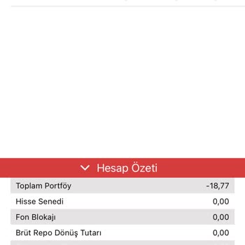 Ziraat Yatırım -18.77 Habersiz İşlem