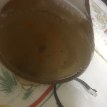 Fersan Elma Sirkesi İçindeki Kahverengi Yuvarlağımsı Şeyler Var