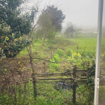 İphone11 Kamera Sorunu