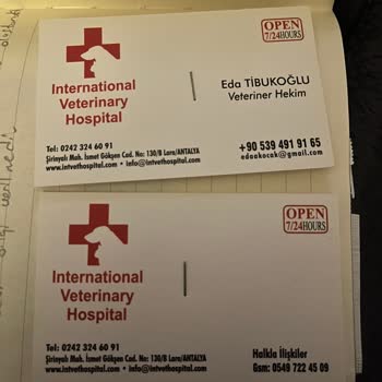 Antalya'da International Veterinary Hospital'da Yaşanan Sorunlar