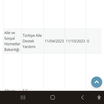 E-Devlet (Turkiye.gov.tr) Sosyal Yardım Parası Yattı Gözüküyor Ama Yok