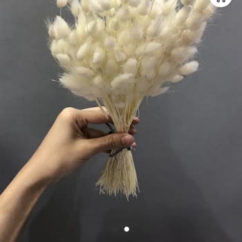 Hobigram&nbsp;Görseldekinden Farklı ve Kusurlu Ürün Gönderdi