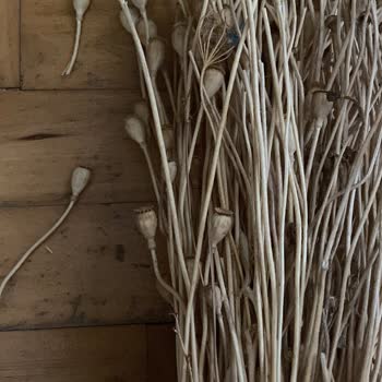 Hobigram&nbsp;Görseldekinden Farklı ve Kusurlu Ürün Gönderdi