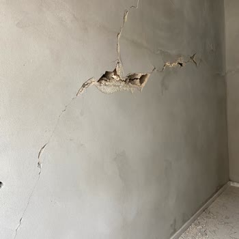 Eminevim'in İlgisizliği, İstediğim Belgeyi Bir Türlü Göndermemesi.