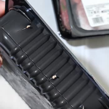 Taze Direkt Özensizliği! Etler Atık Oldu