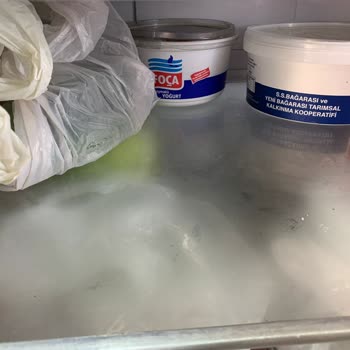 Siemens Buzdolabı Sorunları