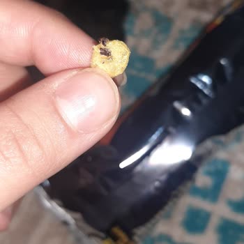 Cheetos Çerez De Siyah Bir Şey Çıktı Umarım Böcek Değildir 😤