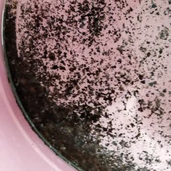 Sentinel X400 Ve X100