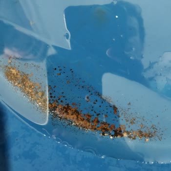 Sentinel X400 Ve X100