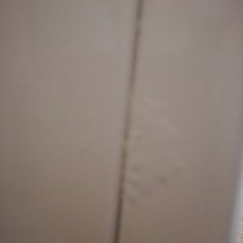 Wga142x0tr 4 Seri Bosch Paslanma Sorunu