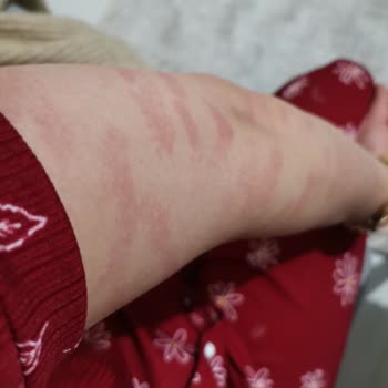 Eva Vip Güzellik Merkezi (Siirt) Hizmeti