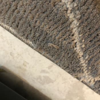 Sevdiz Halı Mobilya Sevdiz Halı Mağazası Şikayet