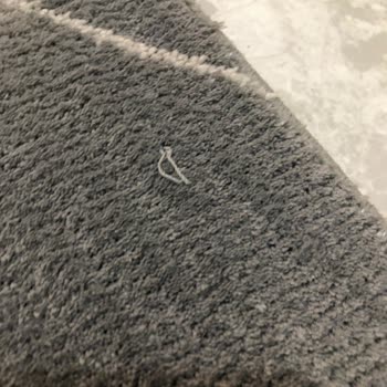 Sevdiz Halı Mobilya Sevdiz Halı Mağazası Şikayet