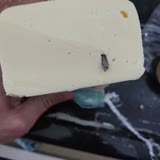 Aknaz Peynir İçerisinde Metal Cisim