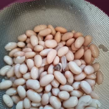 Yurt Konserve Yurt Haşlanmış Fasulye Konservesinin İçinden Taş Çıktı.