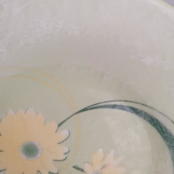 Bosch Bulaşık Makinesi Aldığımdan Bu Yana Güzel Yıkamıyor