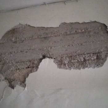 Zurich Sigorta DASK Ve Konut Sigortası Ödeme Konusunda Sınıfta Kaldı.