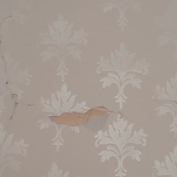 Zurich Sigorta DASK Ve Konut Sigortası Ödeme Konusunda Sınıfta Kaldı.