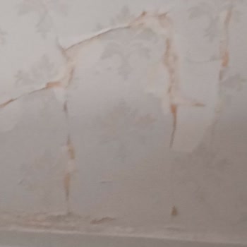 Zurich Sigorta DASK Ve Konut Sigortası Ödeme Konusunda Sınıfta Kaldı.