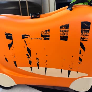 Samsonite Valiz Figürde Soyulma