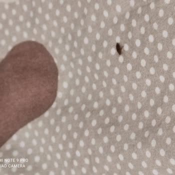 Kredi Ve Yurtlar Kurumu Kredi Ve Yurtlar Genel Müdürlüğü Tahtakurusu Uşak/Merkez