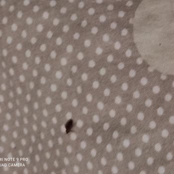 Kredi Ve Yurtlar Kurumu Kredi Ve Yurtlar Genel Müdürlüğü Tahtakurusu Uşak/Merkez