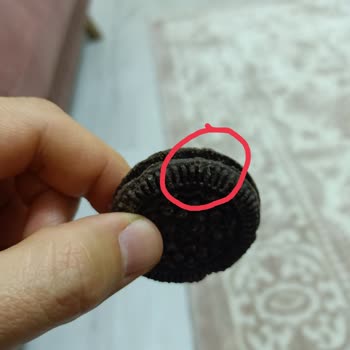 Ülker Mcvities Marka Bisküvi Den Kil Çıktı