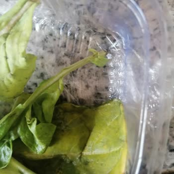 Beyoğlu Çorbacısı Bozuk Çürük Çöpten Ürün Gönderdiler