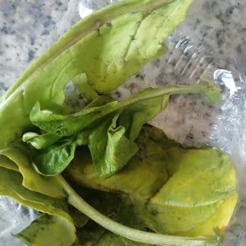 Beyoğlu Çorbacısı Bozuk Çürük Çöpten Ürün Gönderdiler