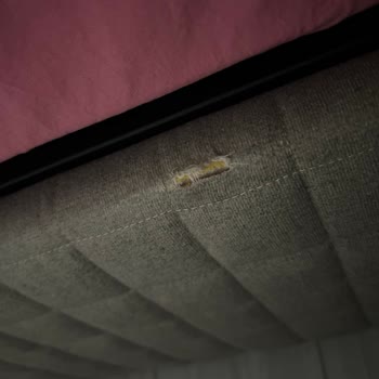 Anka Mobilya Bazamın Kumaşının Yırtık Gelmesi Ve Aylardır Kumaşın Değiştirilmemesi