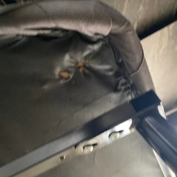 Evdiz'de Satılan Mobilyanın Sorumluluğu Üstlenilmemesi