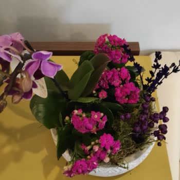 Çiçek Sepeti Farklı Ürün Gönderdi Ve Kabul Etmiyor