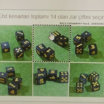 Roblox Hesaba Zar Testi Yüzünden Giremedim