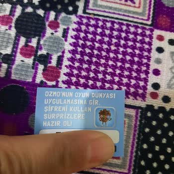 Ozmo Özma Şifre Kullanım Sayfası Yok