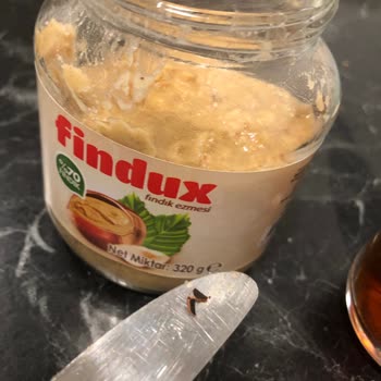 A101 Findux Ezmesi Hk.