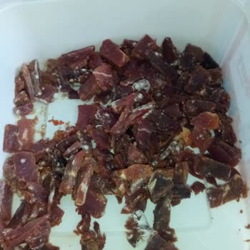 Köyet Gıda Yemeklik Pastırmanın Küflenmesi