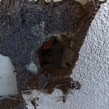 Afs Yalıtım Evime Ve Komşularıma Verdiği Zararı Karşılamak İstemiyor