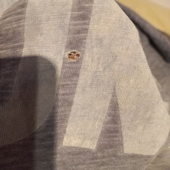 WGA142X0TR Bosch Çamaşır Makinesi