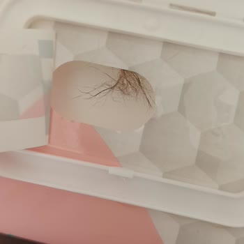 Cotton Club Türkiye Islak Mendilde Saç Çıktı!