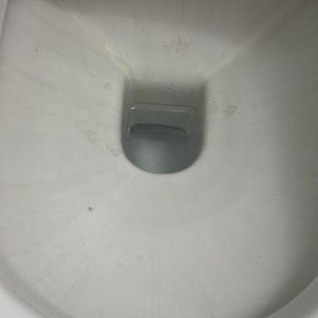 Turkuaz Seramik Bella Klozet Karardı