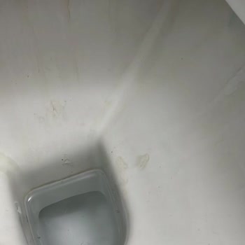 Turkuaz Seramik Bella Klozet Karardı